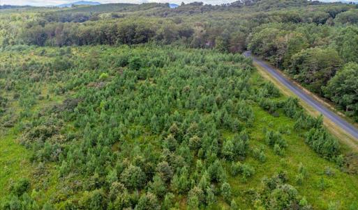 Photo #28 of 62 Grandmas Hill Road, Amherst, VA 62.0 acres