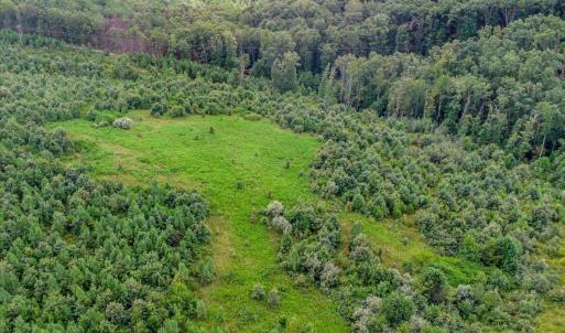 Photo #19 of 62 Grandmas Hill Road, Amherst, VA 62.0 acres