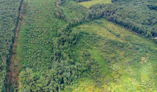 Photo #7 of 62 Grandmas Hill Road, Amherst, VA 62.0 acres