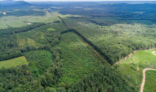 Photo #10 of 62 Grandmas Hill Road, Amherst, VA 62.0 acres