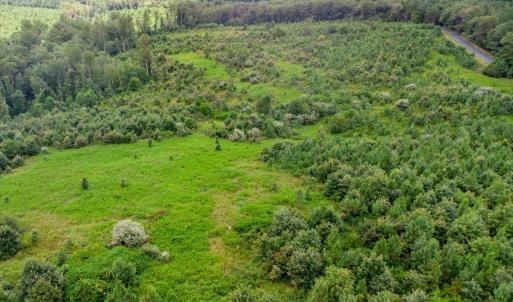 Photo #23 of 62 Grandmas Hill Road, Amherst, VA 62.0 acres