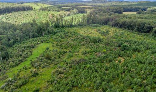 Photo #20 of 62 Grandmas Hill Road, Amherst, VA 62.0 acres