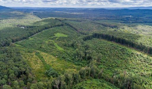 Photo #12 of 62 Grandmas Hill Road, Amherst, VA 62.0 acres