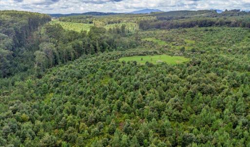 Photo #26 of 62 Grandmas Hill Road, Amherst, VA 62.0 acres