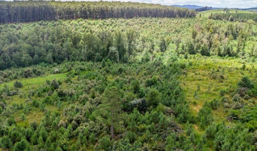 Photo #30 of 62 Grandmas Hill Road, Amherst, VA 62.0 acres