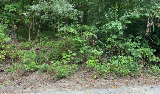 Photo #1 of 12 Marshall Street, Brookneal, VA 0.4 acres