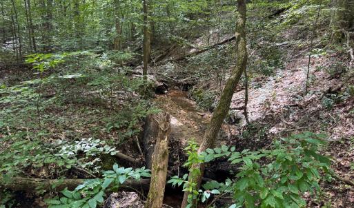 Photo #6 of Holiday Lake Road, Appomattox, VA 5.0 acres
