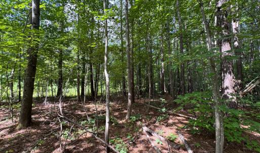 Photo #4 of Holiday Lake Road, Appomattox, VA 5.0 acres