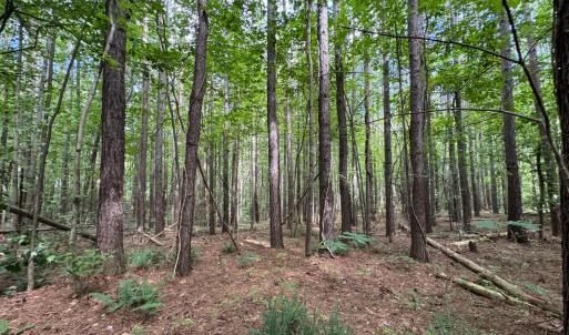 Photo #5 of Holiday Lake Road, Appomattox, VA 5.0 acres