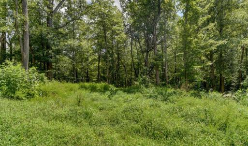 Photo #6 of Otter Creek Road, Bedford, VA 5.6 acres