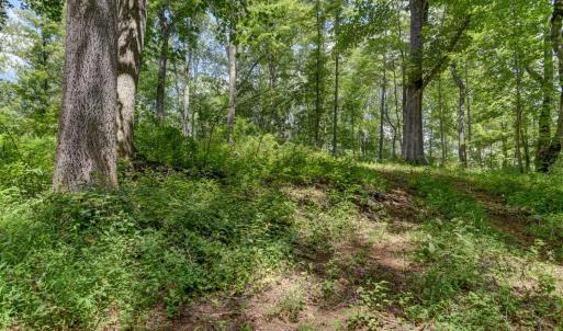 Photo #5 of Otter Creek Road, Bedford, VA 5.6 acres