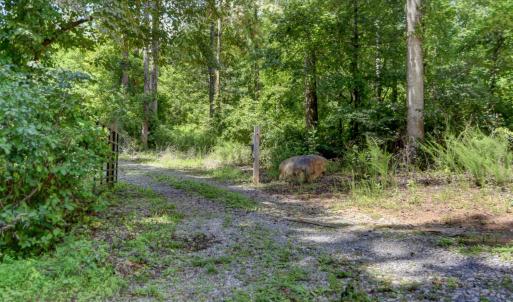 Photo #8 of Otter Creek Road, Bedford, VA 5.6 acres