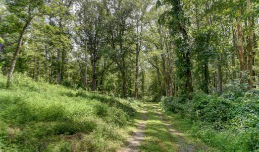 Photo #7 of Otter Creek Road, Bedford, VA 5.6 acres