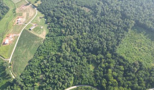 Photo #4 of 13 St Helena Road, Bedford, VA 13.2 acres