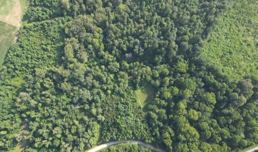 Photo #1 of 13 St Helena Road, Bedford, VA 13.2 acres