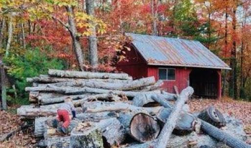 Photo #2 of 3523 Beverly Town Rd, Monroe, VA 4.8 acres