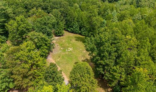 Photo #5 of 3523 Beverly Town Rd, Monroe, VA 4.8 acres