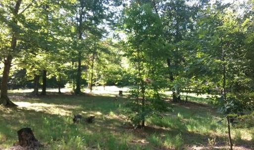 Photo #8 of 3523 Beverly Town Rd, Monroe, VA 4.8 acres