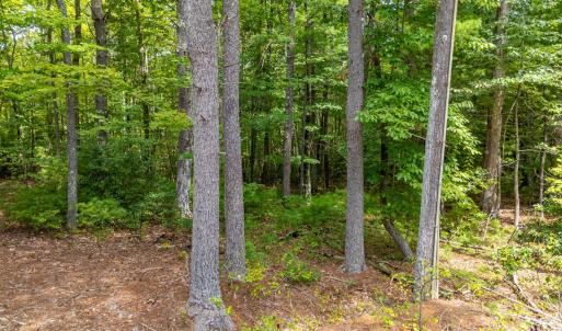 Photo #20 of 3523 Beverly Town Rd, Monroe, VA 4.8 acres