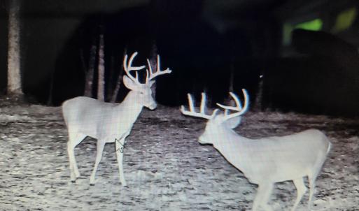 Photo #10 of 3523 Beverly Town Rd, Monroe, VA 4.8 acres