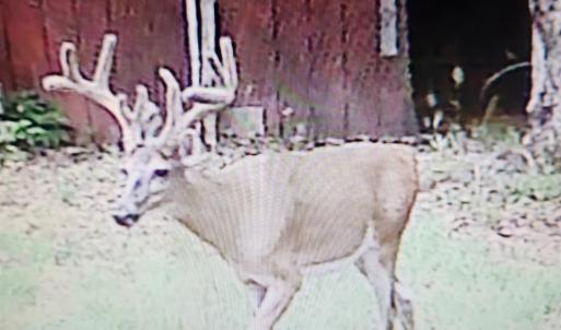 Photo #6 of 3523 Beverly Town Rd, Monroe, VA 4.8 acres