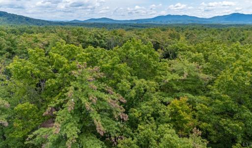 Photo #20 of 3523 Beverly Town Rd, Monroe, VA 4.8 acres