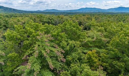 Photo #28 of 3523 Beverly Town Rd, Monroe, VA 4.8 acres