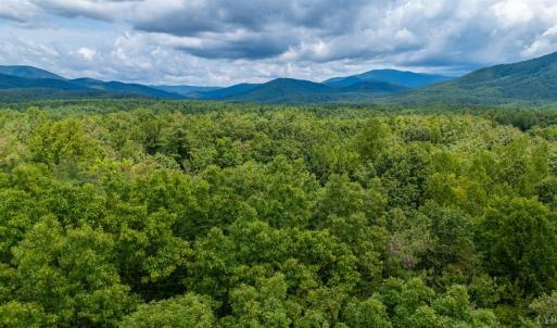 Photo #29 of 3523 Beverly Town Rd, Monroe, VA 4.8 acres