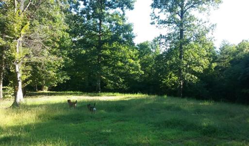 Photo #10 of 3523 Beverly Town Rd, Monroe, VA 4.8 acres