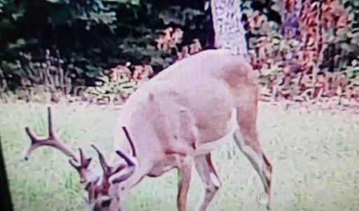 Photo #16 of 3523 Beverly Town Rd, Monroe, VA 4.8 acres