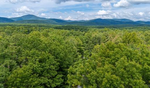 Photo #23 of 3523 Beverly Town Rd, Monroe, VA 4.8 acres