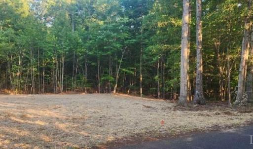 Photo #7 of Buccaneer Road, Moneta, VA 0.4 acres