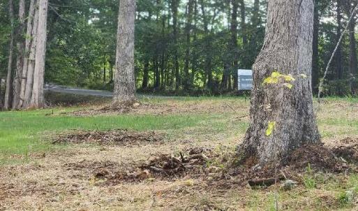 Photo #1 of Buccaneer Road, Moneta, VA 0.4 acres