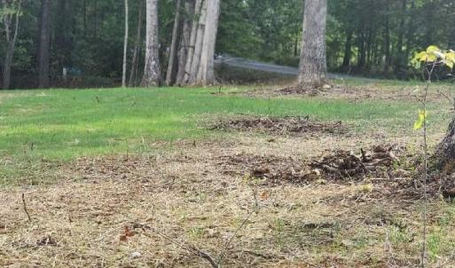 Photo #12 of Buccaneer Road, Moneta, VA 0.4 acres