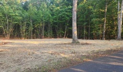 Photo #3 of Buccaneer Road, Moneta, VA 0.4 acres