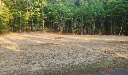 Photo #2 of Buccaneer Road, Moneta, VA 0.4 acres