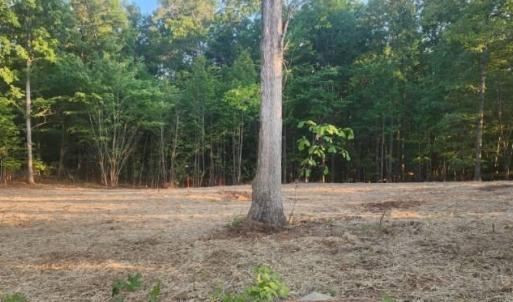 Photo #4 of Buccaneer Road, Moneta, VA 0.4 acres