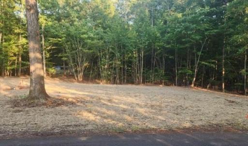 Photo #6 of Buccaneer Road, Moneta, VA 0.4 acres