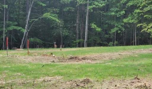 Photo #9 of Buccaneer Road, Moneta, VA 0.4 acres