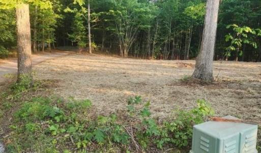 Photo #5 of Buccaneer Road, Moneta, VA 0.4 acres