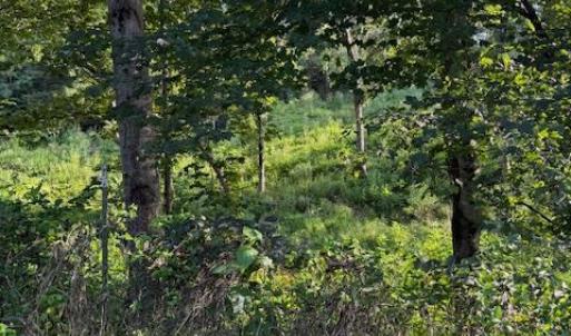 Photo #3 of Huntington Drive, Bedford, VA 5.1 acres