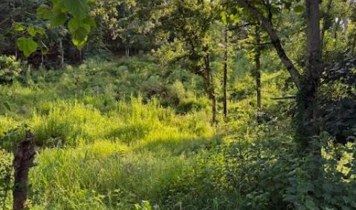Photo #6 of Huntington Drive, Bedford, VA 5.1 acres