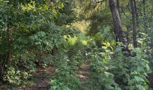 Photo #7 of Huntington Drive, Bedford, VA 5.1 acres