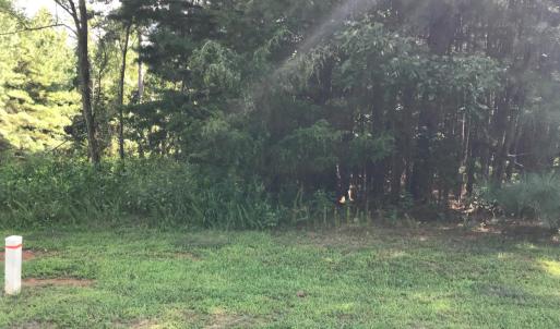 Photo #3 of Hidden Cove Lane, Lynch Station, VA 2.2 acres