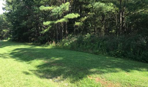 Photo #5 of Hidden Cove Lane, Lynch Station, VA 2.2 acres