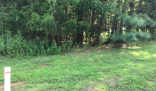 Photo #2 of Hidden Cove Lane, Lynch Station, VA 2.2 acres