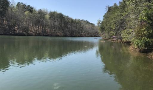Photo #13 of Hidden Cove Lane, Lynch Station, VA 2.2 acres