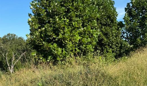 Photo #2 of 925 Elmwood Avenue, Lynchburg, VA 0.2 acres