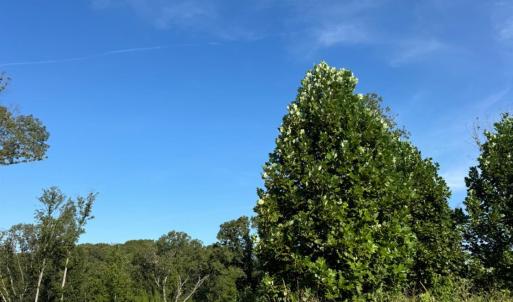 Photo #1 of 925 Elmwood Avenue, Lynchburg, VA 0.2 acres