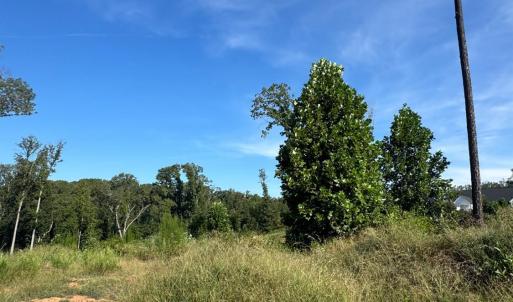 Photo #3 of 925 Elmwood Avenue, Lynchburg, VA 0.2 acres